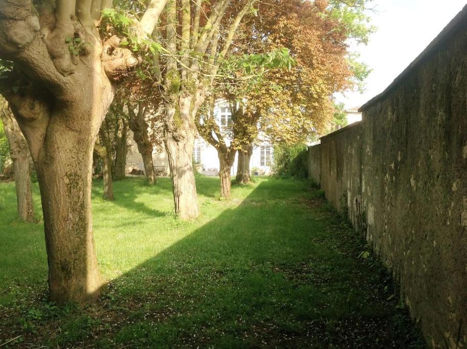 Ancien Presbytere Au Coeur Du Village Mauvezin  المظهر الخارجي الصورة